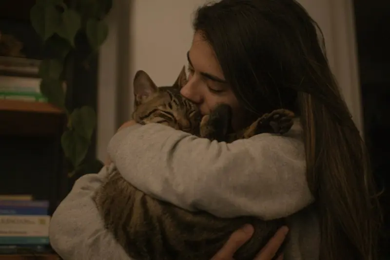 Une personne tenant contre son visage un chat tigré détendu